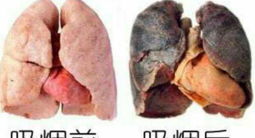 香烟回收_一支香烟还是一根香烟_香烟